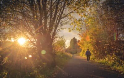 Guided Winter Walks Available to Book Now