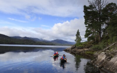 Where to Paddle Your Canoe