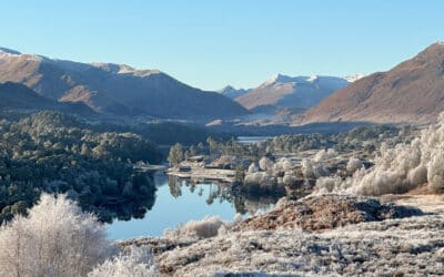 Experience the Magic of Glen Affric: Guided Winter Walks from Inverness