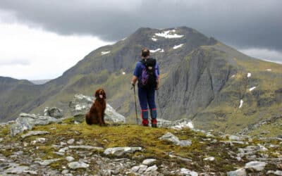 a man walking with his dog in the mountains and looking at the view