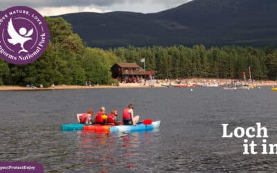 A group of four people in kayaks floating on a loch in the Cairngorms National Park, looking towards a beach with other people, water craft and a boathouse, with forest and hillside beyond