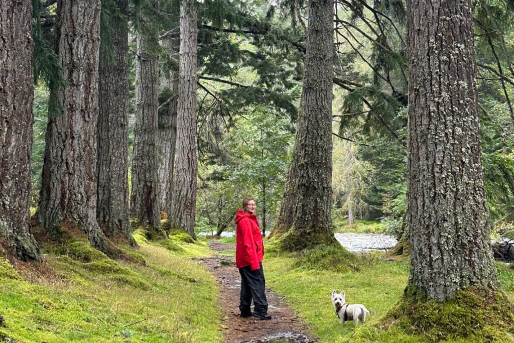 female with small dog walking through a forest towards the falls of foyers