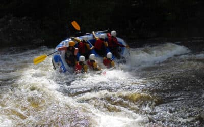 In Your Element Buys Active Highs