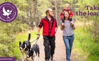 Take the lead: a couple, one with a small child on their shoulders, walking their two dogs on short leads and to heel, on a path through woodland in the Cairngorms National Park