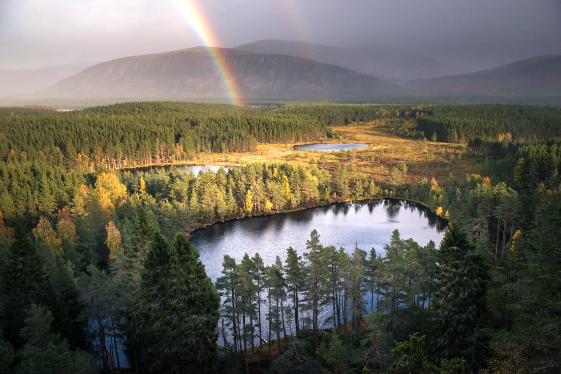 A rainbow over the Uath Lochans from above, Cairngorms