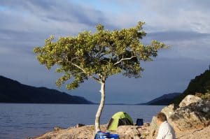 Campsite with a great view