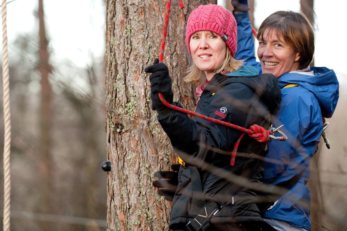 TreeZone & Bike Hire Festive Opening