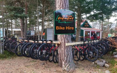 A number of bikes lined up ready to hire