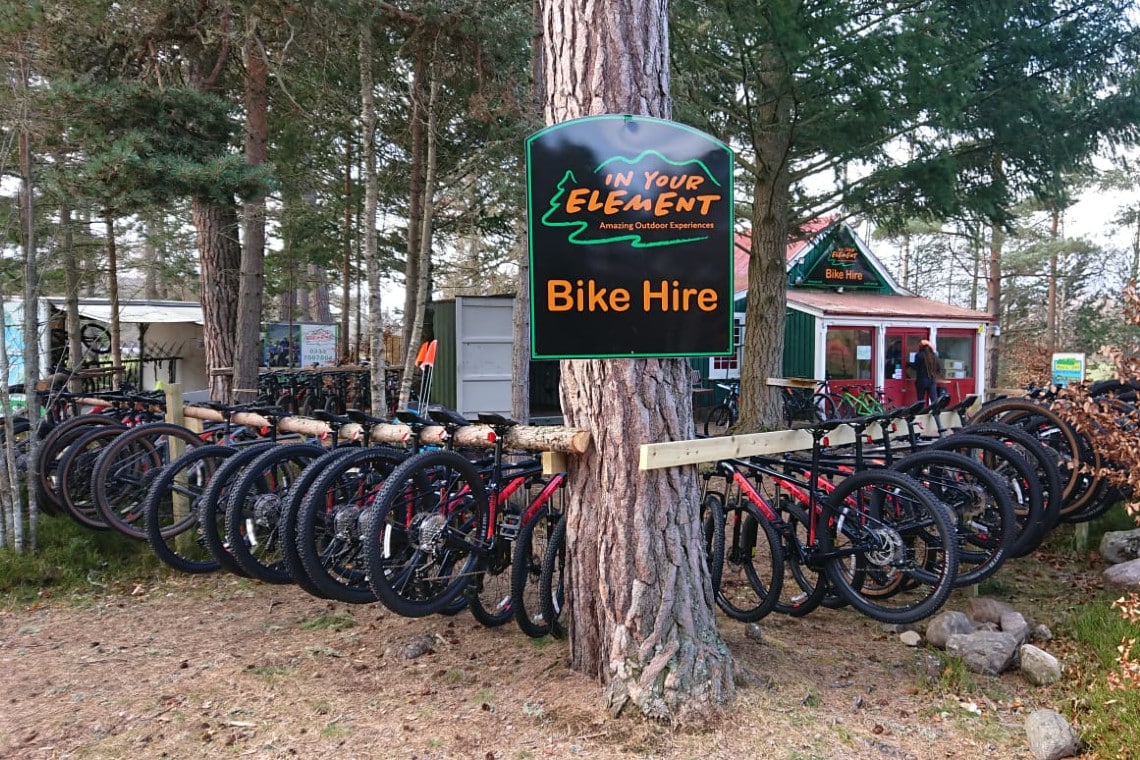 A number of bikes lined up ready to hire