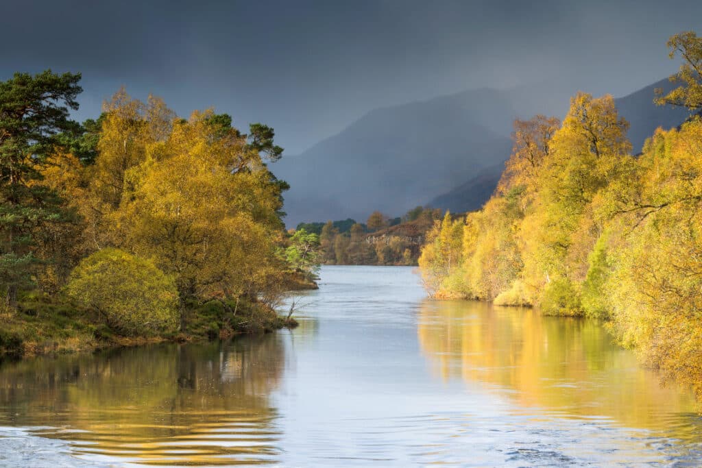 a tree-lined Loch Affric on a calm autumnal day