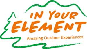 In your element logo