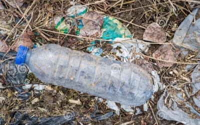 plastic bottles littering the countryside