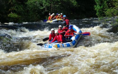 In Your Element Newsletter – Winter 2025